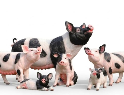 Agritourism Branding Sculptures Bespoke Fiberglass Pig Statues